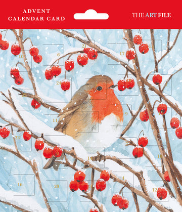 Robin advent calendar - Daisy Park