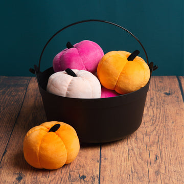 Velvet pumpkin table decoration - Daisy Park