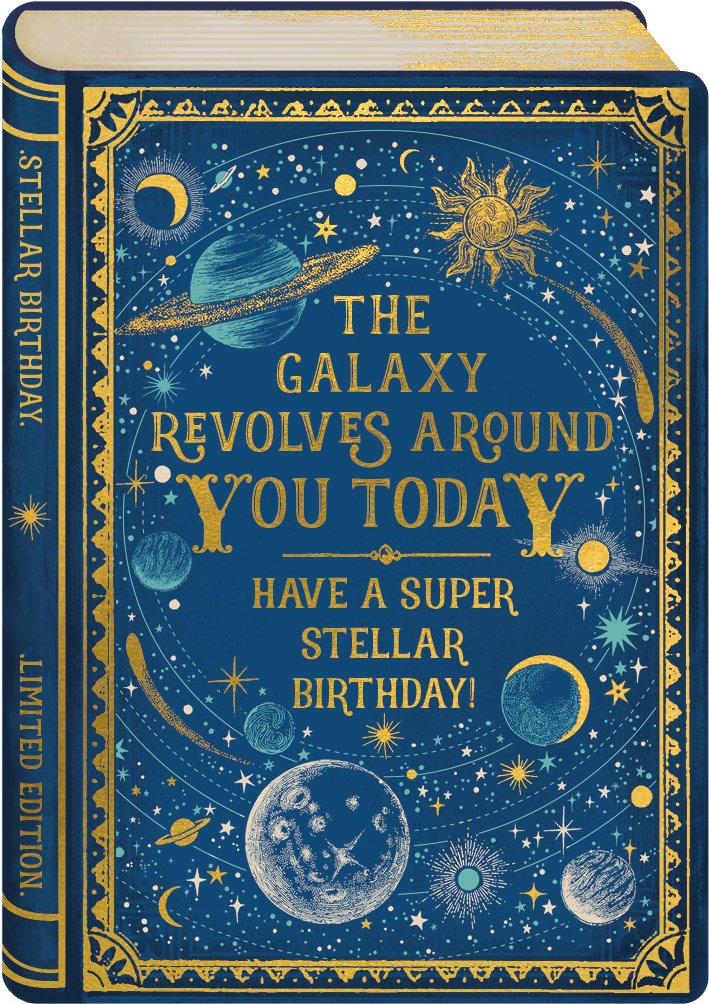 Have a Super Stellar Birthday Book Card - Daisy Park